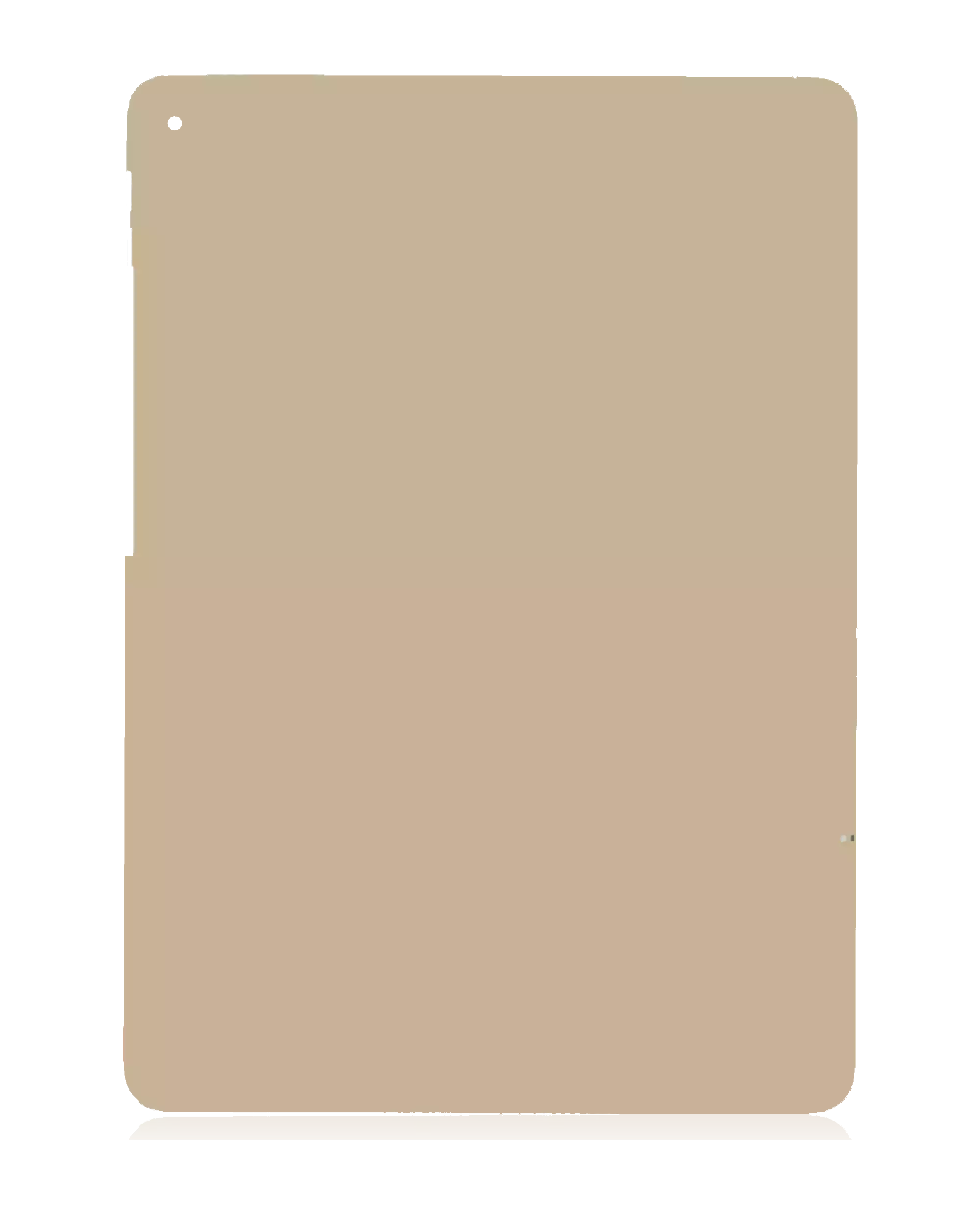 Bottom Skin For iPad Air 2 (Cellular) (Gold)