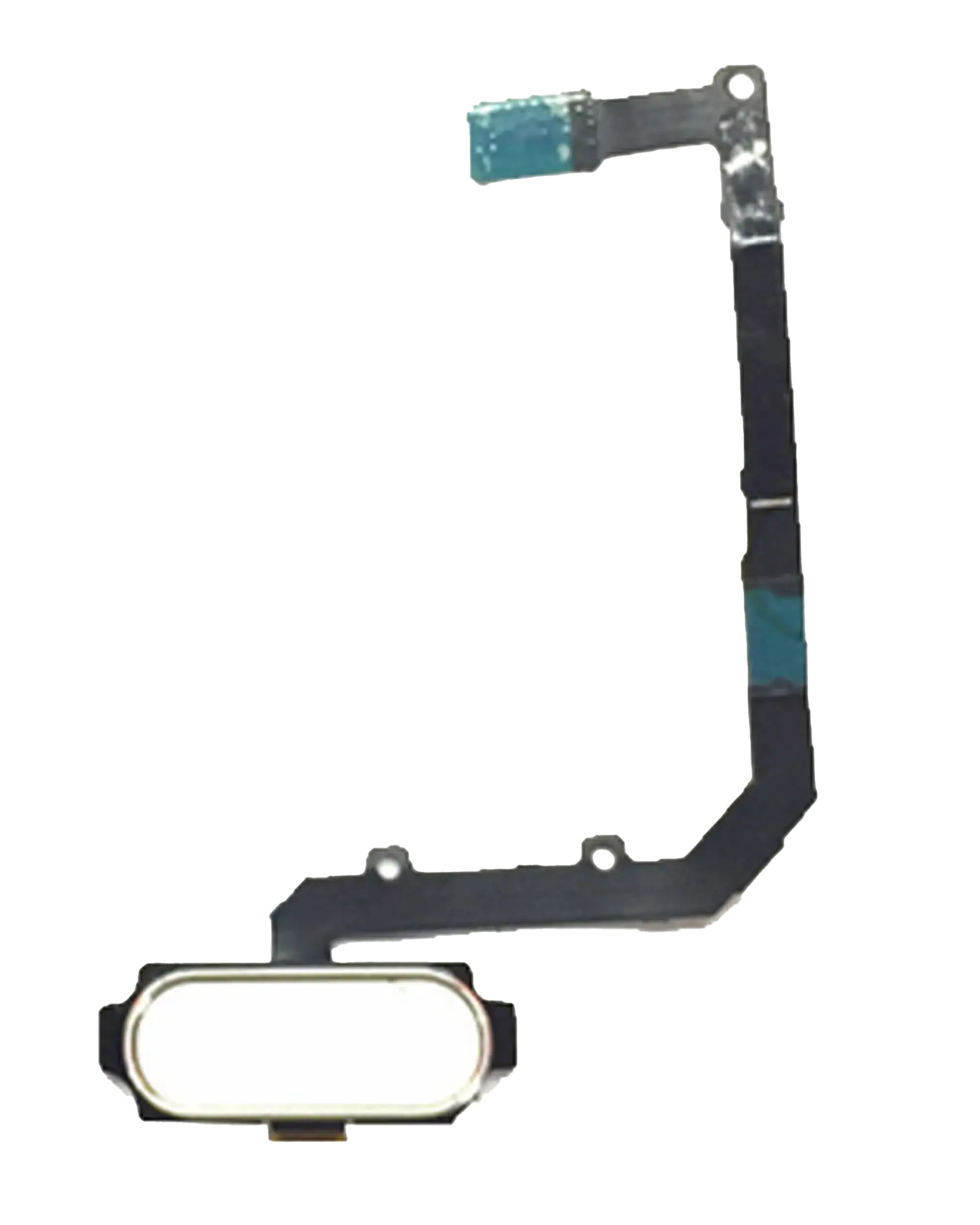 Home Button Flex Cable For Samsung Galaxy A9 Pro (A910 / 2016) (White)