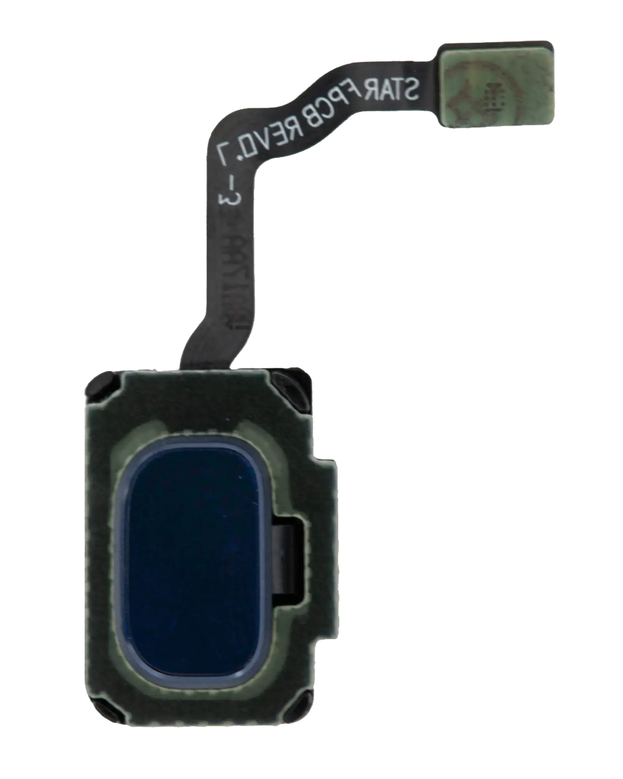 Fingerprint Reader With Flex Cable For Samsung Galaxy S9 / S9 Plus (Coral Blue)