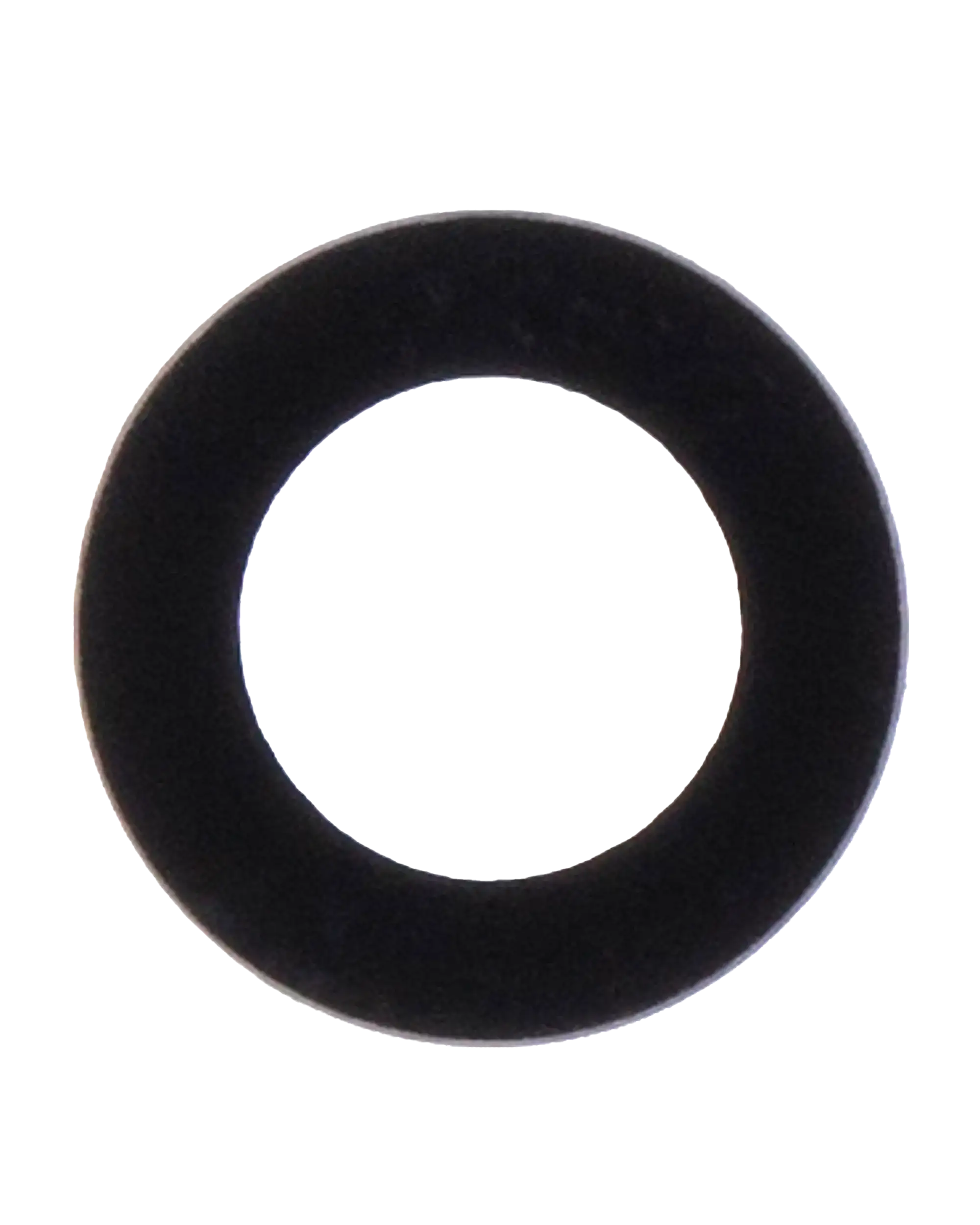 Back Camera Lens For iPad 5 (2017) / iPad 6 (2018) / iPad 7 (2019) / iPad 8 (2020) / iPad 9 (2021) / Air 2 / Mini 4 / Mini 5 / iPad Pro 12.9" 1st Gen (2015) (10 Pack)