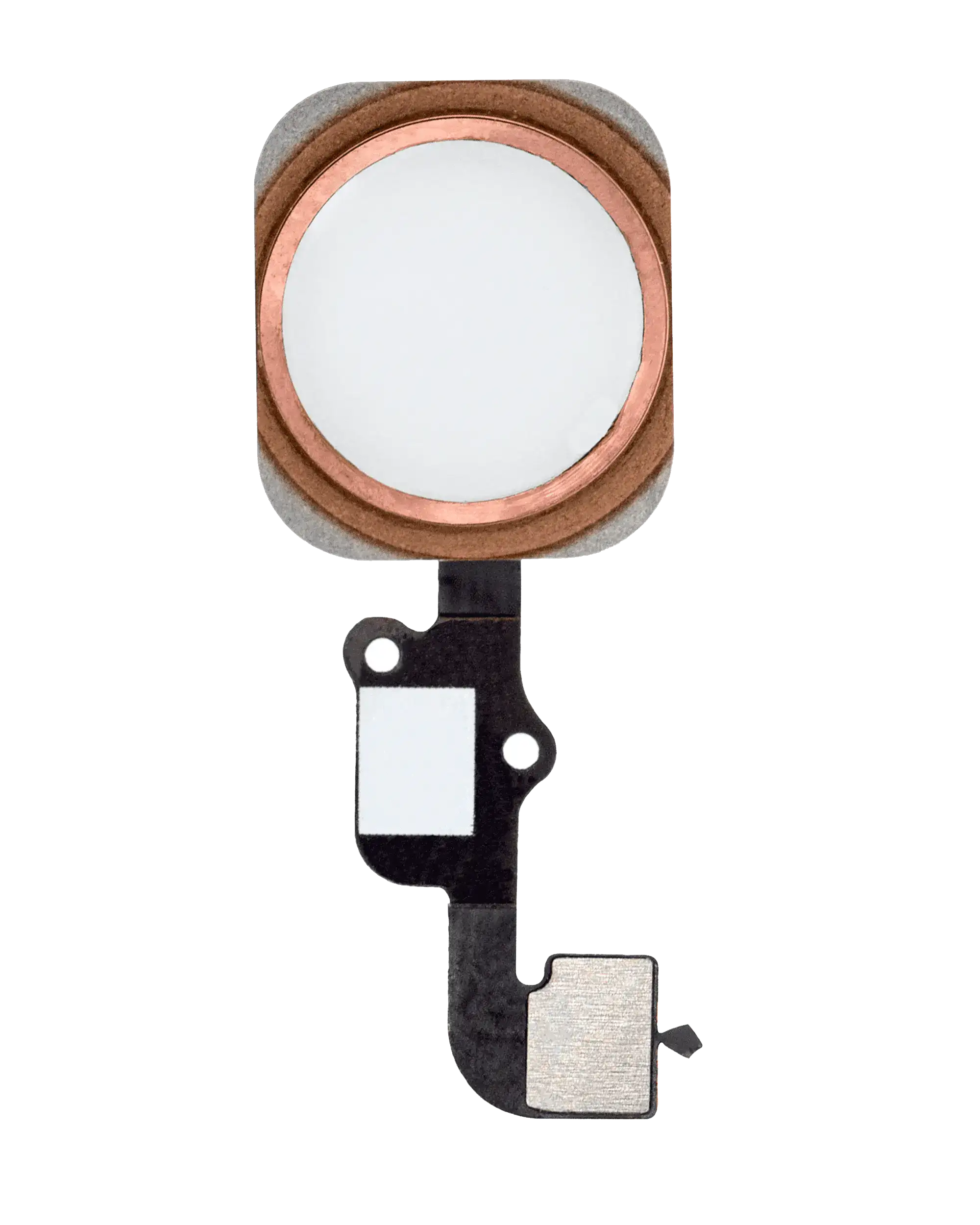 Home Button With Flex For iPhone 6S / 6S Plus (Rose Gold)