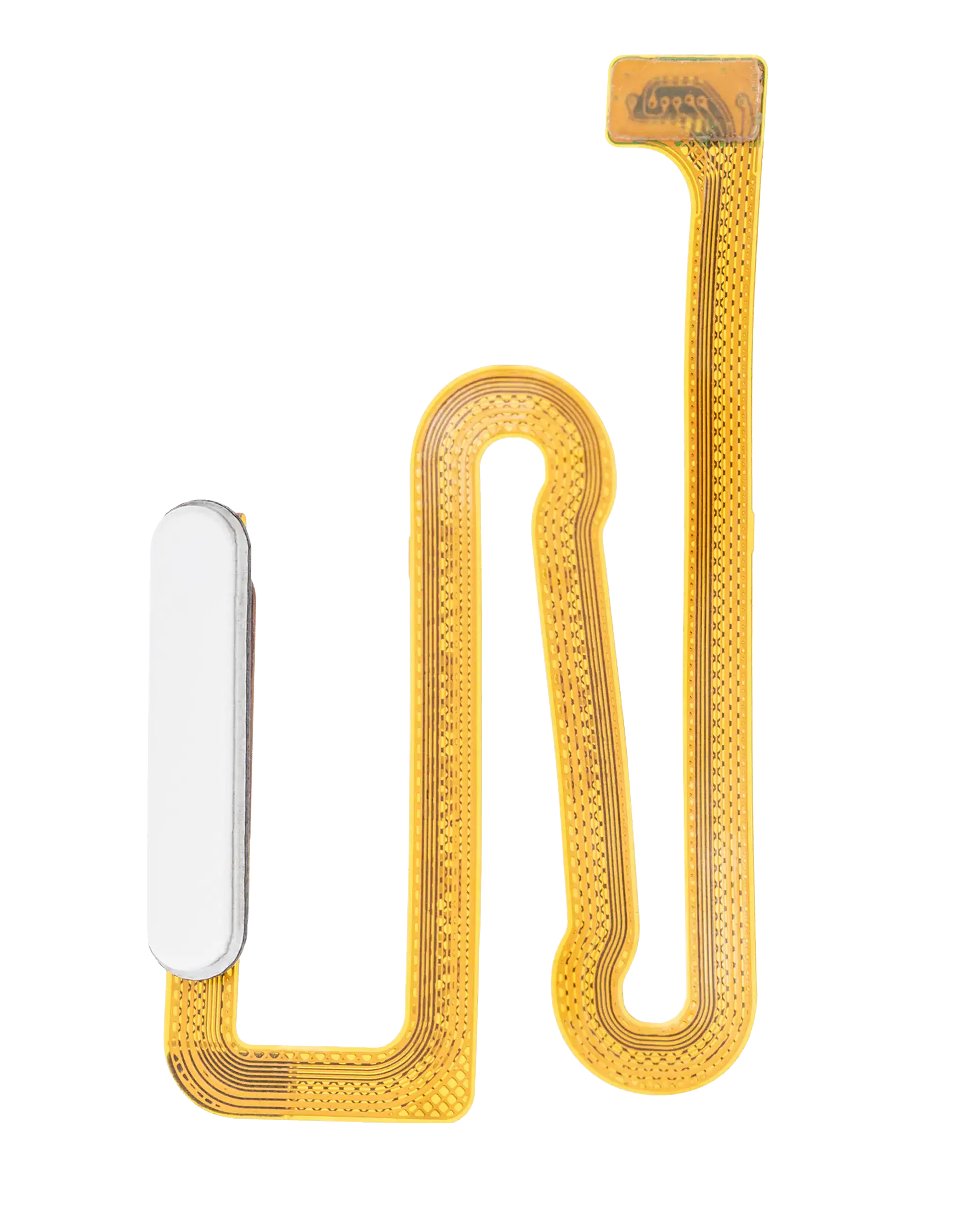 Fingerprint Reader With Flex Cable For Samsung Galaxy A12 (A125 / 2020) (White)