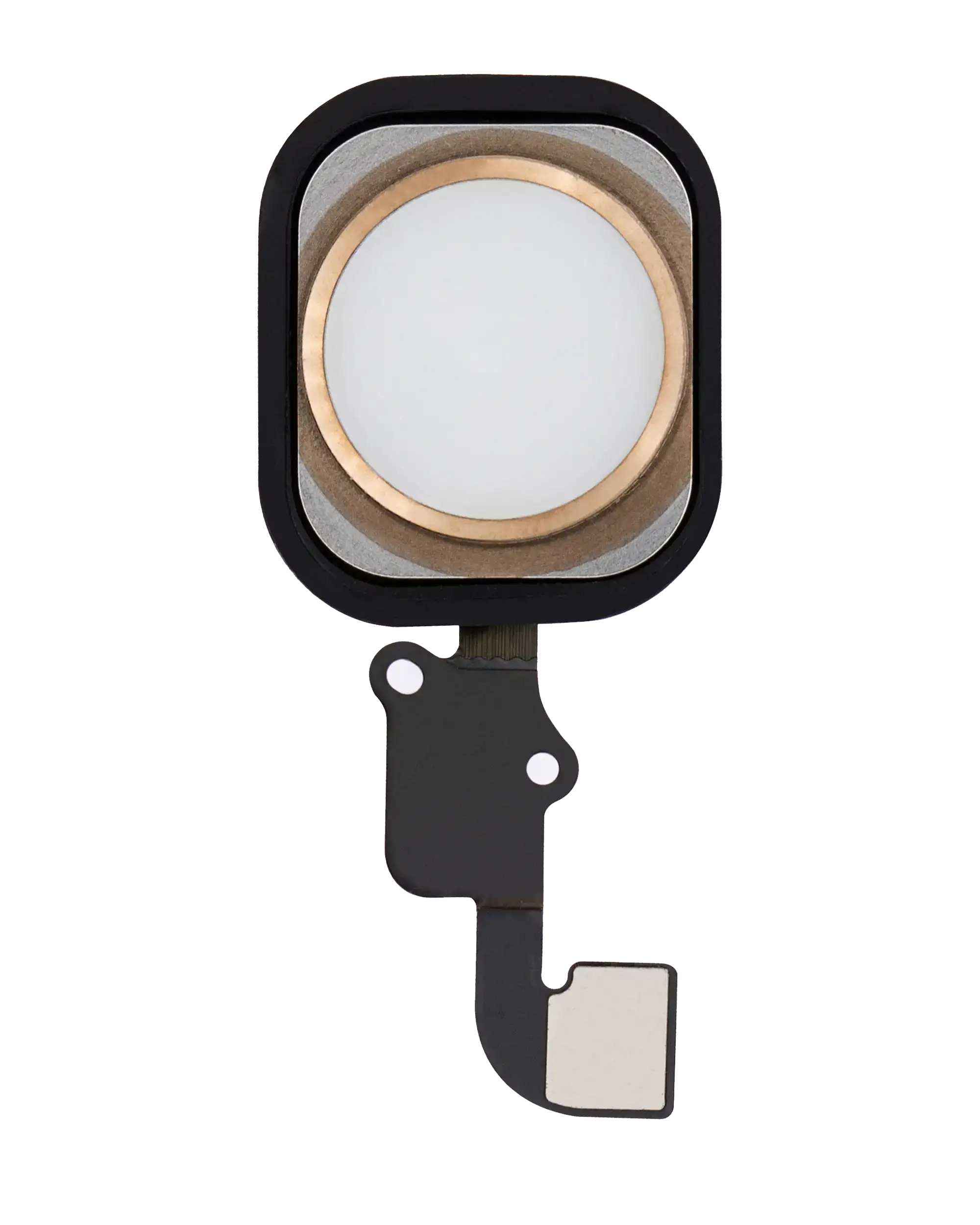 Home Button With Flex For iPhone 6 / 6 Plus (Gold)