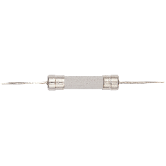 Fuse for Playstation 5 (T8A / H / 250V) (6MMx30MM) (Soldering Required)