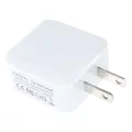 Type A Generic Wall Power adapter (100-240V)