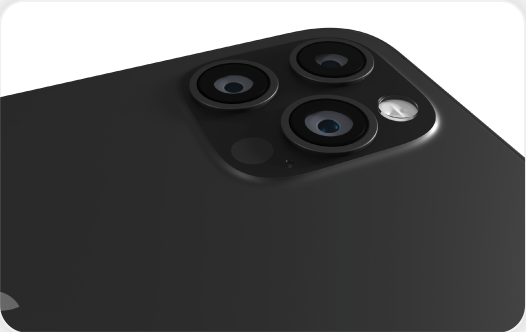 scale-detaile-1